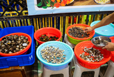 Quán Ốc Len: Ốc Tươi Mỗi Ngày, Giá Niêm Yết Rõ Ràng Từ 49K – 99K