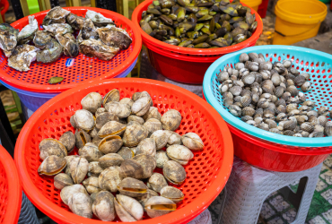 Quán Ốc Len Ngon Thủ Đức – Điểm Hẹn Quen Thuộc Của Tín Đồ Ăn Ốc